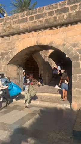 #mallorca 