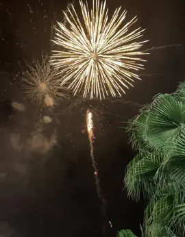 Some pictures from a collection