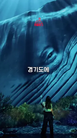 한국판 토이스토리 주인공 되는 곳!✨ [제작비지원] 수도권에서 가장 넓은 규모인 1,200평대 미디어아트 전용관이에요! 7, 8월은 한여름의 크리스마스를 주제로 한 미디어아트도 진행중이고, 그 외에도 20여가지 주제의 미디어아트가 있더라구요!🎄 ++ 특히 2025년 5월 리뉴얼을 마쳐서 더 다채로워졌다고 해요! 🎟️ 성인 25,000원 청소년 20,000원 어린이 15,000원 미취학 아동 10,000원 *파주시민 20%할인 *군인,소방관,경찰,국가유공자 40%할인 ⏰ 월~금 10:00~19:00 토/일 10:00~20:00 📍장소: 뮤지엄헤이 📍주소: 평화로 885-43 #파주 #뮤지엄헤이 #전시 #여행 #이색데이트 #데이트코스 #데이트 #핫플레이스 #핫플 