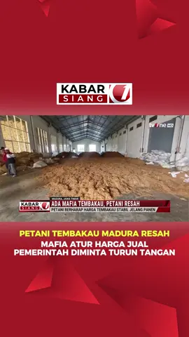 🚬 PETANI TEMBAKAU MADURA RESAH MAFIA ATUR HARGA JUAL PEMERINTAH DIMINTA TURUN TANGAN 🤲 Menjelang panen raya, para petani tembakau di Madura mengaku semakin resah. Bukan karena cuaca buruk, tapi karena bayang-bayang mafia tembakau yang kerap memainkan harga pasar. Akibat ulah oknum tersebut, harga jual tembakau ke pabrikan menjadi lebih rendah dari seharusnya. 😠📉 Tembakau khas Madura seperti jenis Tegal dan Gunung semestinya bisa dihargai tinggi—bahkan mencapai Rp80.000 per kilogram untuk kualitas premium. Namun, karena dominasi mafia dalam rantai distribusi, harga bisa jatuh di bawah standar pasar. 📉🚫 Para petani meminta pemerintah segera turun tangan. Dengan sekitar 10 hingga 15 juta jiwa yang bergantung hidup dari komoditas ini di seluruh Indonesia, kehadiran negara sangat dibutuhkan untuk melindungi harga dan kesejahteraan petani tembakau. 💼👨🌾 Mereka juga menegaskan perjuangan ini bukan hanya soal ekonomi, tapi juga soal keadilan dan keberpihakan terhadap sektor rakyat kecil yang selama ini merasa diabaikan. 📡 Pantau terus tvOne untuk berita terkini! #BreakingNews #PetaniTembakau #Madura #HargaTembakau #MafiaTembakau #tvOneNews #UpdateTvOne #KabarTvOne