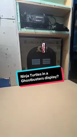 When you have a design idea but aren’t entirely sold on it. Can a Ghostbusters display include Ninja Turtles? 