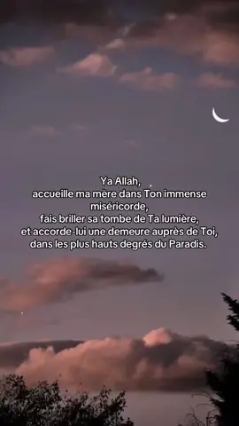 Qu’Allah nous réunisse au Paradis. 🤍. #islamic_video #douaa #maman #priere 