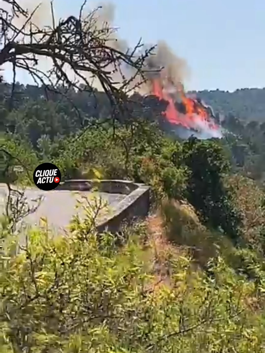 🇫🇷 | Une habitante filme le début de l’incendie de Ribaute, déclenché par un barbecue. La scène est impressionnante  en quelques minutes, le feu devient incontrôlable, avec des flammes hautes de plusieurs mètres 🔥 ▬▬▬▬▬▬▬▬▬▬▬▬▬ #Incendie #Pompier #Ribaute #Aude #Bessille #Paris #France #Infos #Actualité #Information #Vidéo #PourToi #pourtoii 