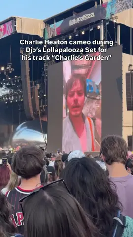 #joekeery #djo #lollapalooza #lollapalooza2025 #concerts #musicartist #fyp 