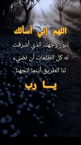 ✨ دعاء النور والهداية في كل طريق ✨ اللهم بنور وجهك الكريم 🌸 أشرِق قلوبنا وطرقنا، واهدنا للصواب أينما اتجهنا 🙏 يا رب اجعل لنا من كل ضيق مخرجًا ومن كل هم فرجًا 💫 #دعاء #نور_الله #هداية #راحة_النفس #يا_رب 