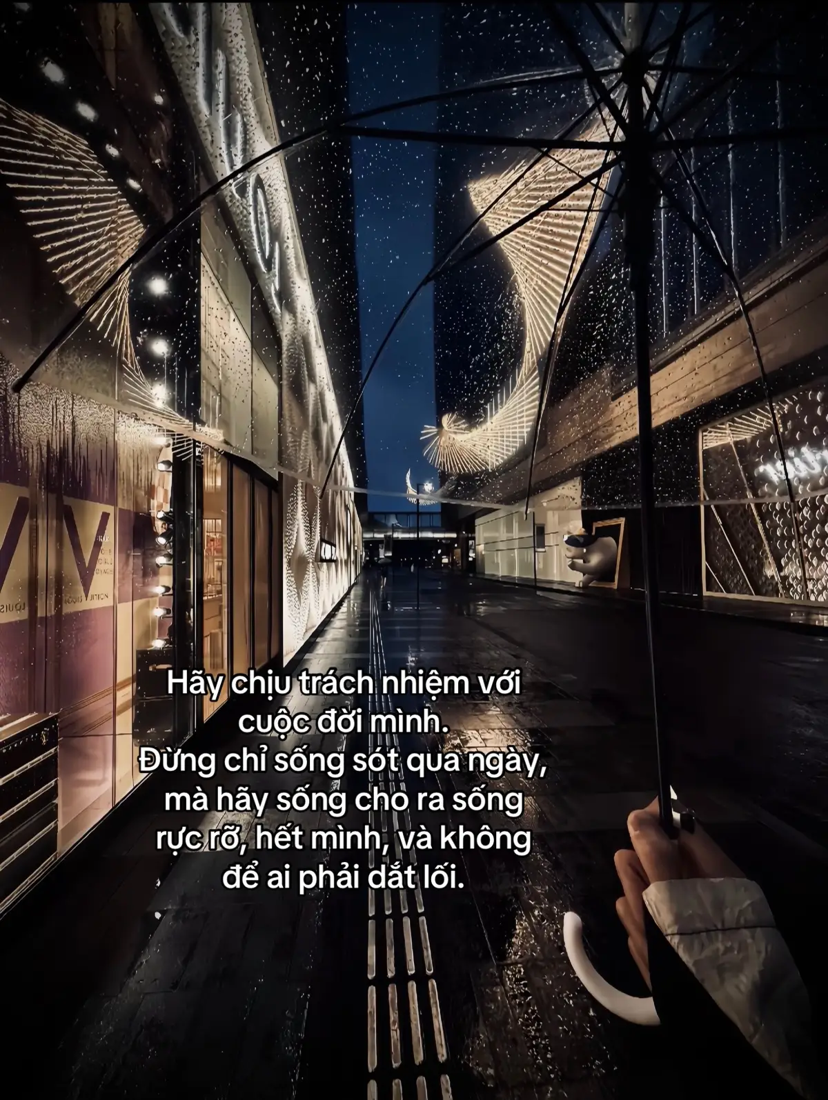 Hãy chịu trách nhiệm với cuộc đời mình. Đừng chỉ sống sót qua ngày, mà hãy sống cho ra sống rực rỡ, hết mình, và không để ai phải dắt lối.#xuhuong2025 #tâmtrạng 