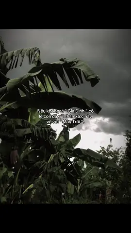 #cuocsong #fyp #xuhuongtiktok #capanhxhh 