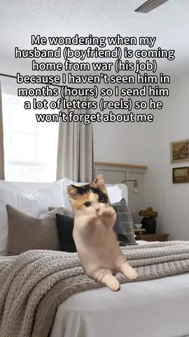 #catanimation #cat #kitty #kittycat #catmemes #funnycat #fyp 