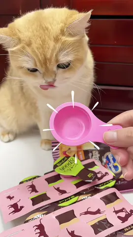 Hời ơi súp thưởng dạng thìa kiểu này nó tiện mà nó ngonnn 😍 #xuhuong #supthuongchomeo #silverspoonsupthuong #nhaco2meo1cho #mèo 