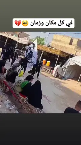 #زيارة_الأربعين #طريق_الاحرار #صفاء_السراي #الشعب_الصيني_ماله_حل😂😂 