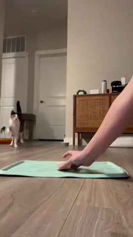 Cat core. 