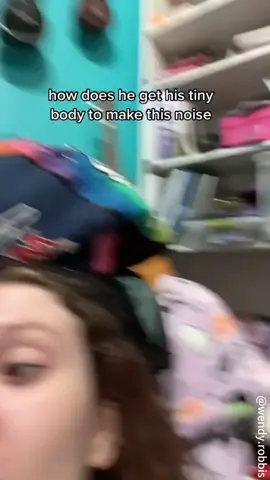 Cat’s weird sounds #catsoftiktok #funnycat #catvideo #catlover #fyp #funnyvideos #cat 
