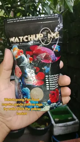 Click the yellow basket below  #watchupong #fyp #guppyfood #fishfood #highlights 