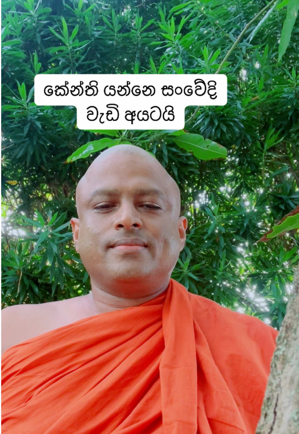 #jeevithayata #aruthak  #trending #>€#foryoupage 