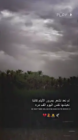 #تصميم_فيديوهات🎶🎤🎬 #عبارات_حزينه💔 #مالي_خلق_احط_هاشتاقات #تفاعلكم_لايك_متابعه_اكسبلورررر 