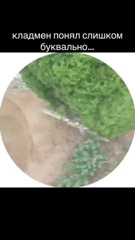 оформил навсегда, 🙏 Никого не хотела обидеть, юмор чёрный, но с уважением