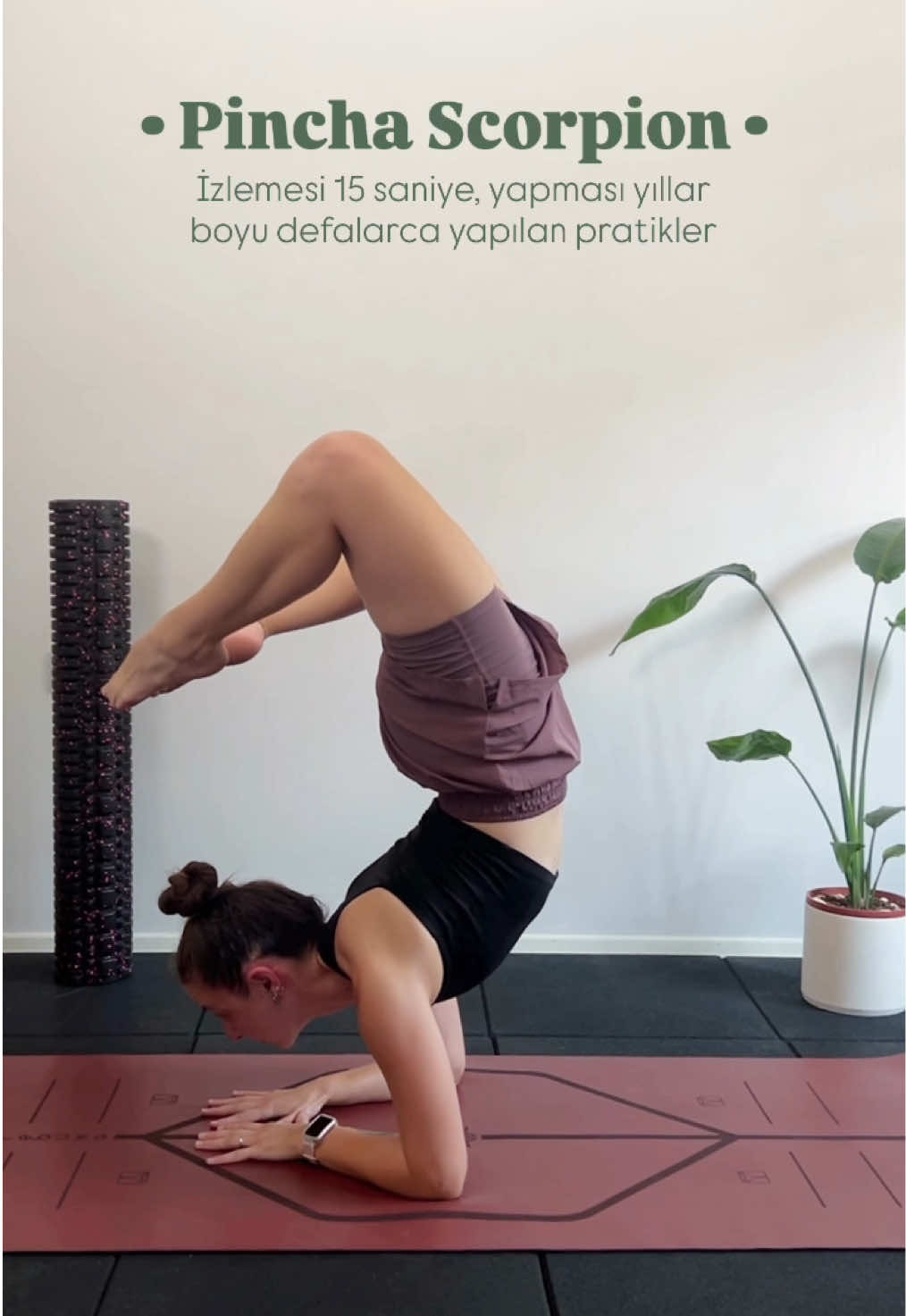 #yoga #pincha #pinchascorpion #yogapose 