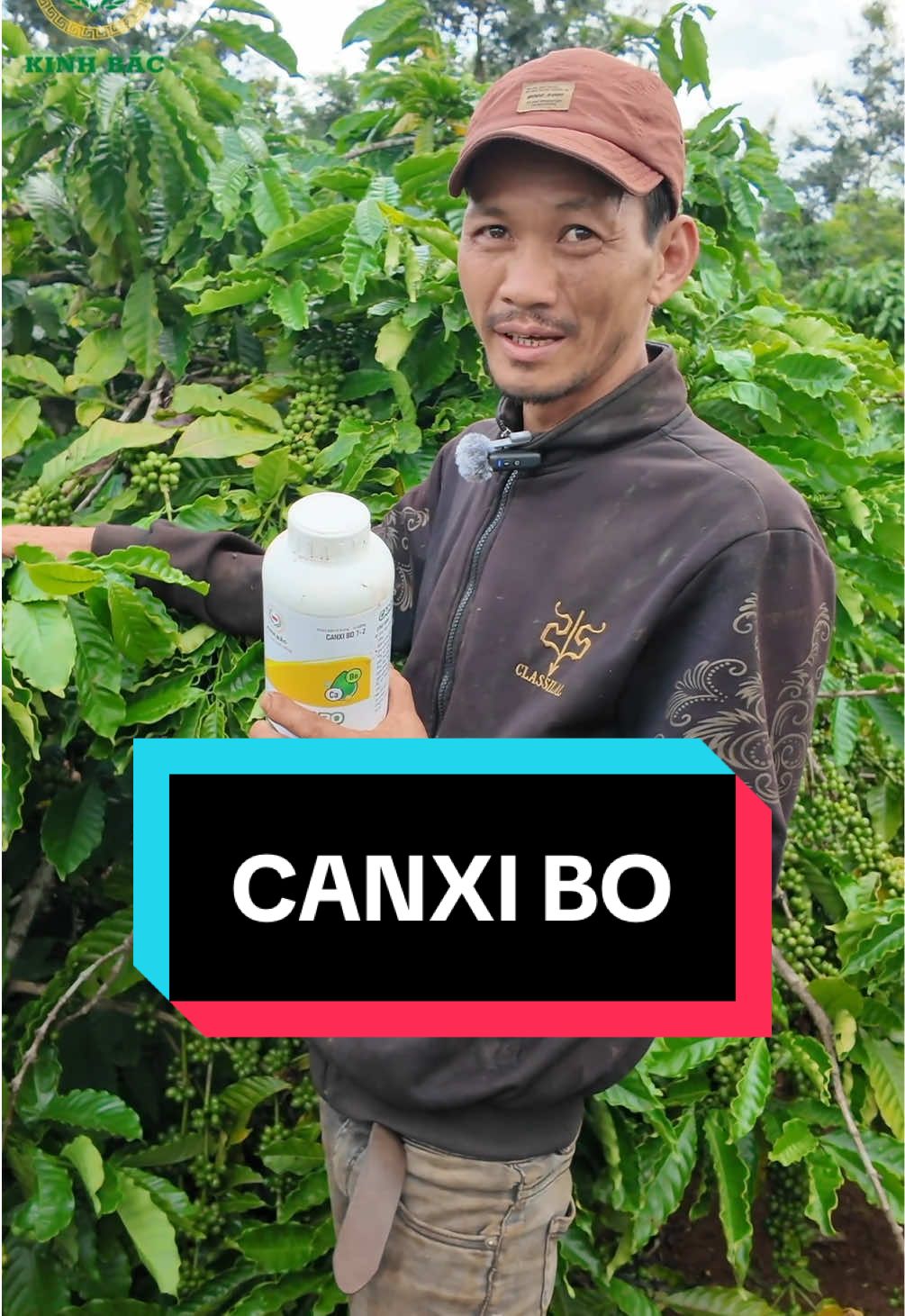 Xử lý tình trạng rụng trái trên mọi loại cây