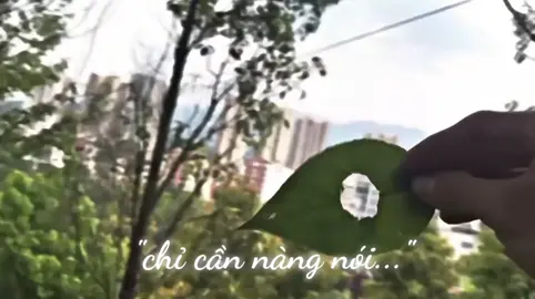 “爱本质无异,只是因为人多显的拥挤.” 