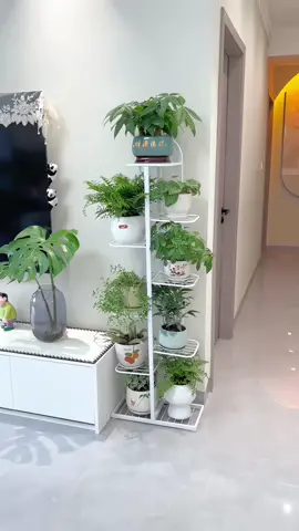 Kệ sắt, nhiều lớp, khung hoa để chậu hoa decor ban công, phòng khách, trong nhà,….    #giadechauhoa#kedechauhoacaycanh#kedechauhoa#decor#xuhuong 