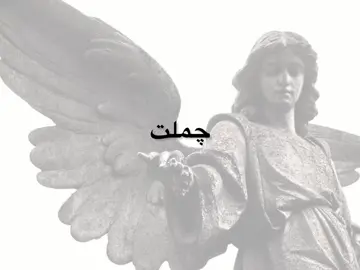 جملت الالم والهم اذيه #ناظم_الغزالي #fyp #foryou #foryoupage #viral #اكسبلورexplore 