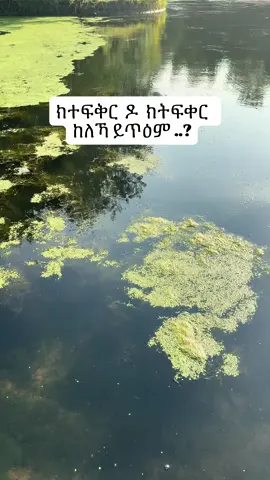 ክተፍቅር  ዶ  ክትፍቀር  ከለኻ ይጥዕም ..?#askras #rasservice #troma #therapy #selfawareness 