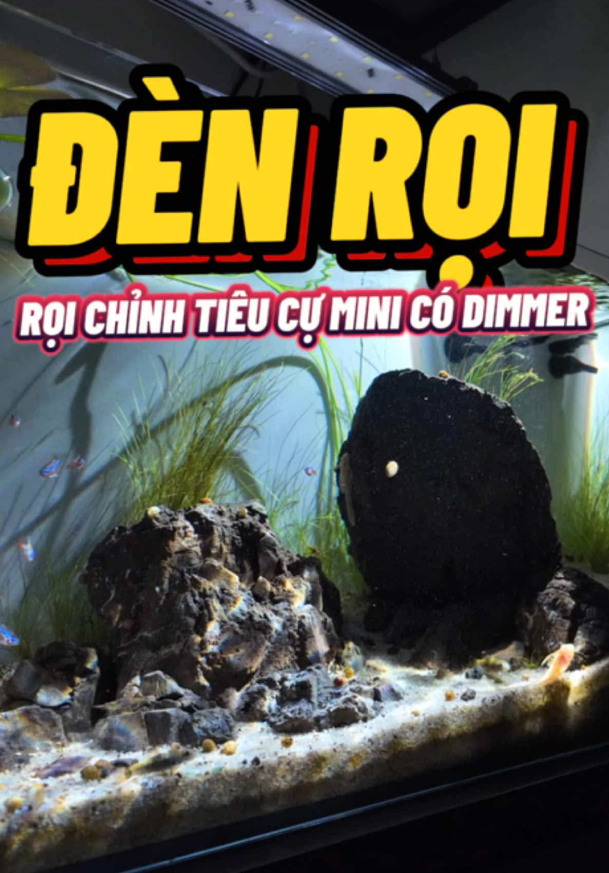 Trả lời @nguyễn tín Đèn rọi 3 chế độ chỉnh tiêu cự kèm Dimmer cực tiện luôn ae ạ😋 #sinhvienchoithuysinh #thuysinhsinhvien #thuysinh #cacanh #phukienthuysinh 