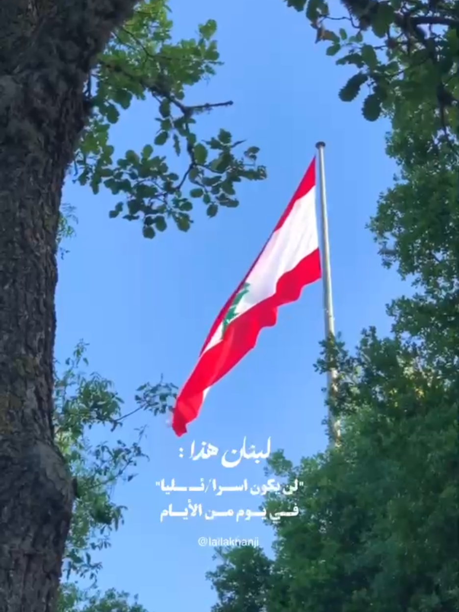 #lebanon🇱🇧 #لبنان🇱🇧 #beirut #fyp #fypシ゚viral #viralvideo #freedom #lebanesetiktok 