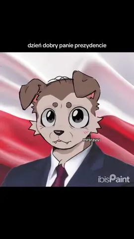 Nie jadłam dziś nic jeszcze #dc #nawrocki #fyp #polska #furry #ibispaintx #nwm 