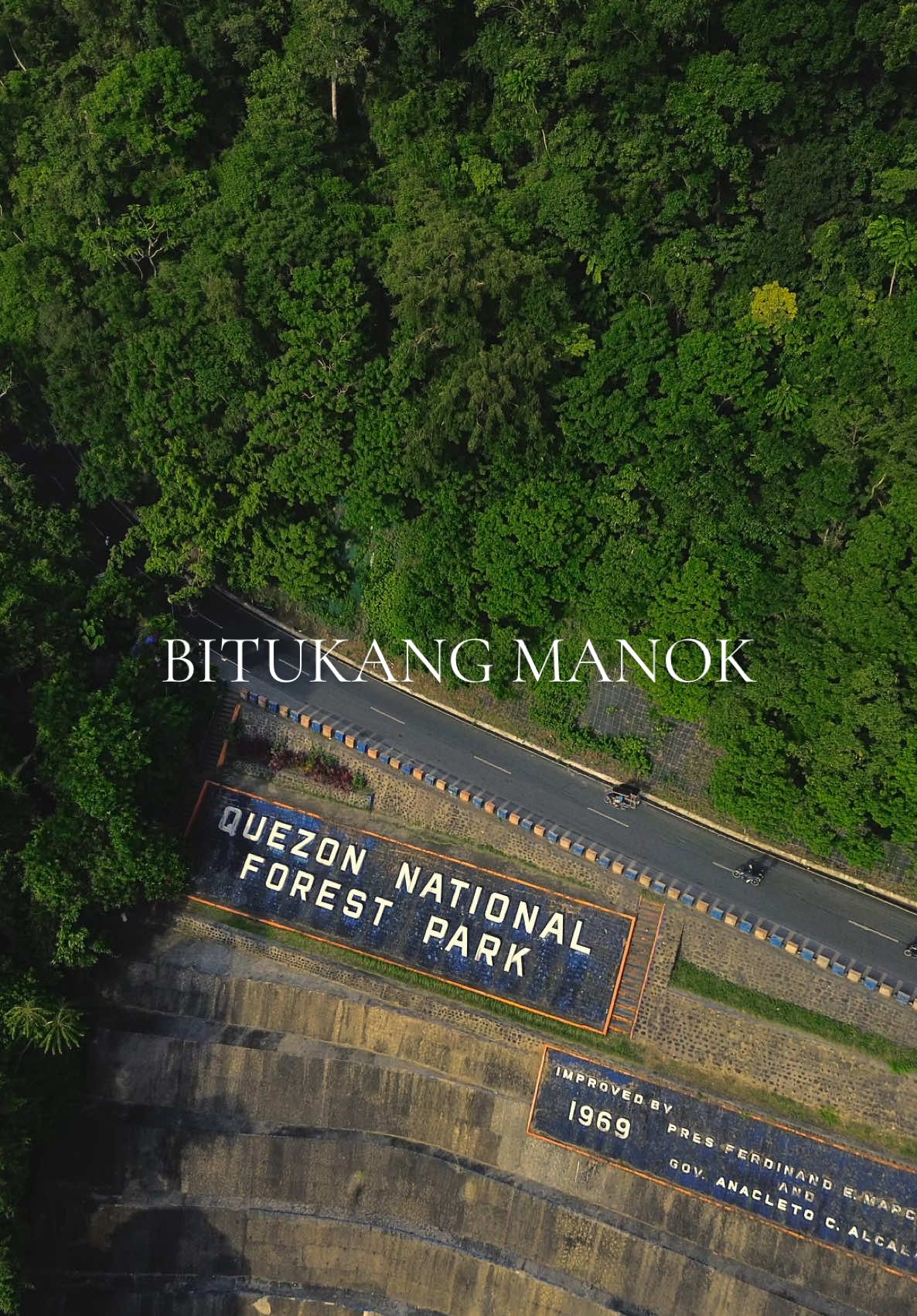 Bitukang Manok, also known as the Quezon Zigzag Road, is a mountain route connecting Atimonan to Pagbilao in Quezon Province. Constructed in 1969, it features sharp curves and steep ascents, offering a challenging drive through the Quezon Protected Landscape, one of Luzon's last remaining lowland rainforests. Source: mind.ai #bitukangmanok #quezon #province #traveltiktok #nature #fyp #soloride #dji #djimini3 #creatorsearchinsights 