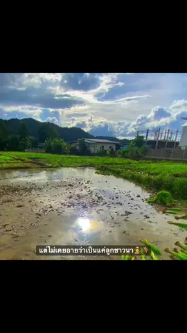 #เธรด #เธรดเพลง #แท็กบอกความรู้สึก #ยืมลงสตอรี่ได้ #fyp 