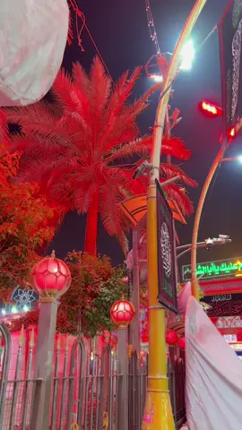 ما أريد أيامي انته لو ما بيها مله باسم الكربلائي#ياحسين❤️😭 #باسم_الكربلائي_رادود_ما_له_مثيل #لبيك_ياحسين #كربلائي❤️❤️ #احمدالكربلائي❤️❤️ 