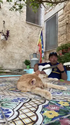 Si pudiera -desde sicilia/fun people. 