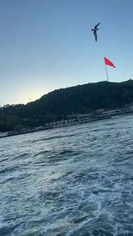 #fyp #foryou #istanbul 