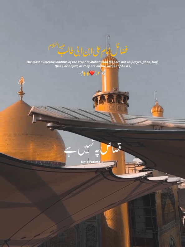 Fazaail e Mola Ali ibne Abi Talib As 🙌🏻✨🕊️🏴 #1millionaudition #foryoupage❤️❤️ #growmyaccount #unfreezemyacount #UmeFatima157 