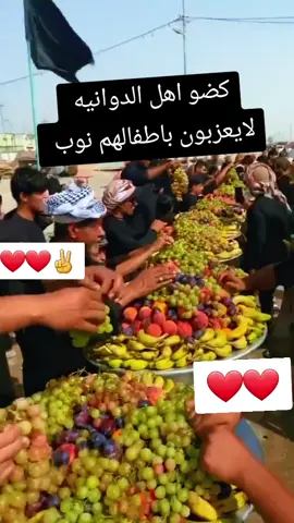 #خدام_الامام_الحسين #مشايه_الأربعين  #الديوانيه_بغداد_بصره_ذي_قار  #الدوانيه #محافضات_العراق  #شاركونا_ارائكم  #الامام_الحسين_عليه_السلام 