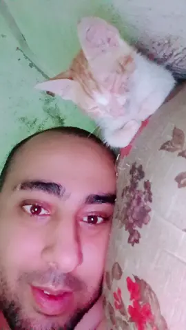 #ملك_جمال_العالم #كتانله #سوبر_وسيم 