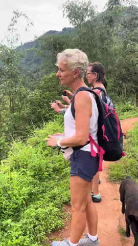 Đẹp lắm rồi ấy đâu cần đợi đến lúa Vàng lúa Xanh cũng chill cực kỳ #hoangsuphi_hagiang #trekking #hagiang #Homestayhoangsuphi 