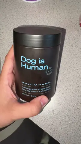 Billy loves his ‘Dog is Human Daily Multivitamin’ #dogishuman #multivitaminfordogs #healthisimportantfordogs #dogsoftiktok 