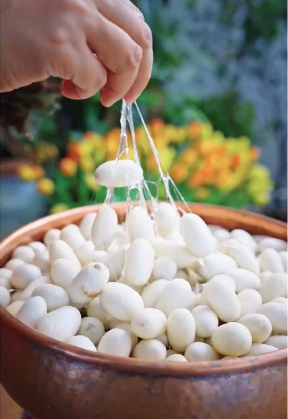 The ancient art of producing silk from silkworms for use in Suzhou embroidery dates back 2,500 years. Double-sided embroidery, featuring different designs or colors on each side, is a rare and intricate skill that takes many years to master. #fyp #foryou #art #silk #silkworm #streetartglobe