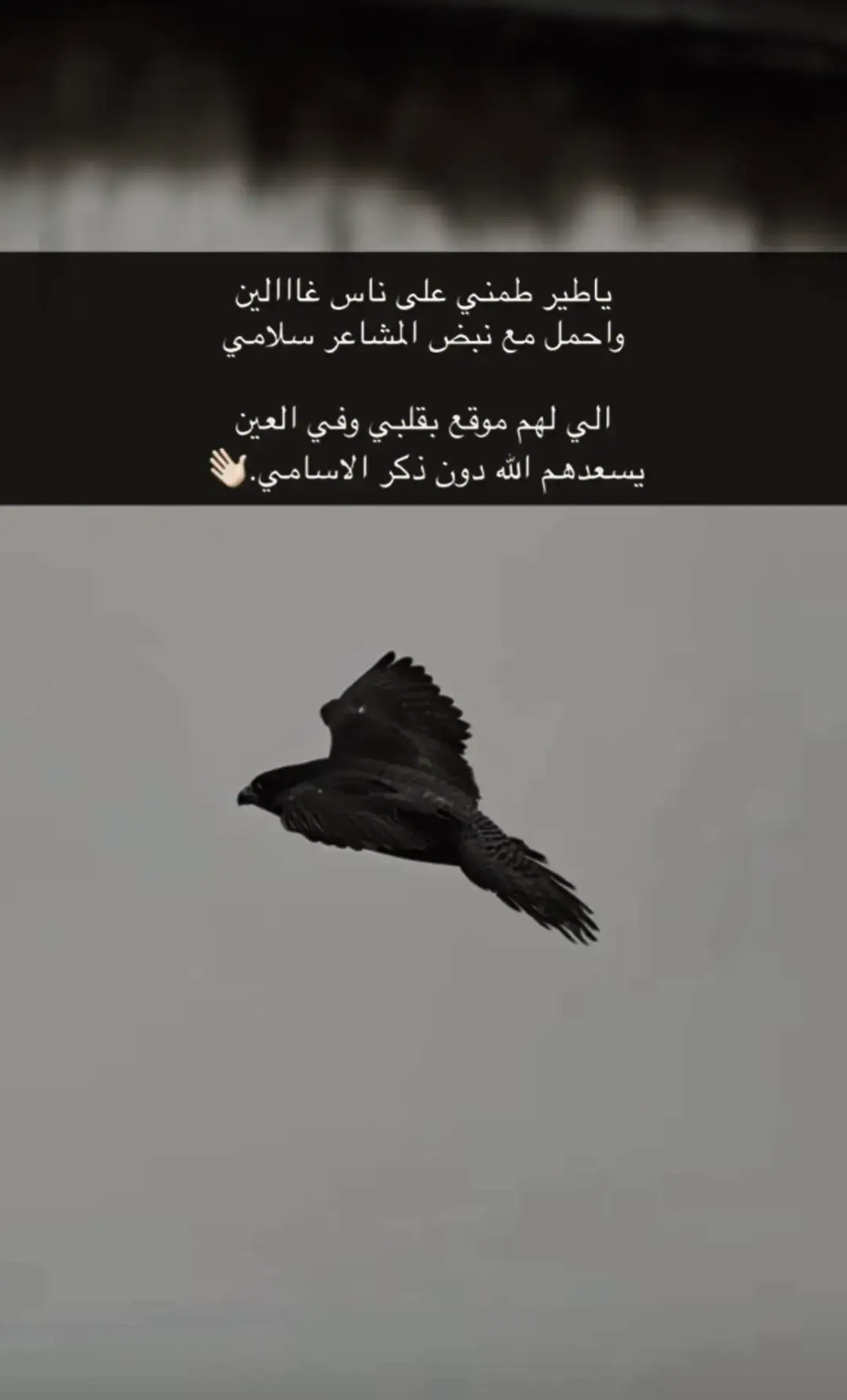 #اكسبلورexplore #CapCut #العراق_السعوديه_الاردن_الخليج_سوريا_مصر_السودان #يعقووب_اليماني_محب_البدو #اليمن 