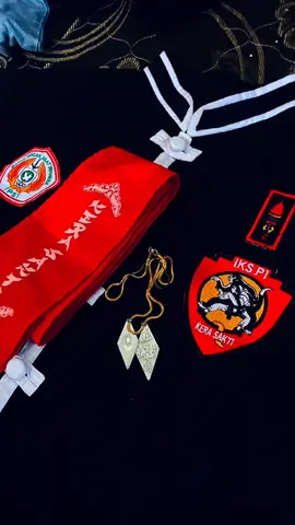 🤲🏻  #sabukbiruikspi#ikspikerasakti_indonesia #ikpiserasakti_1980 