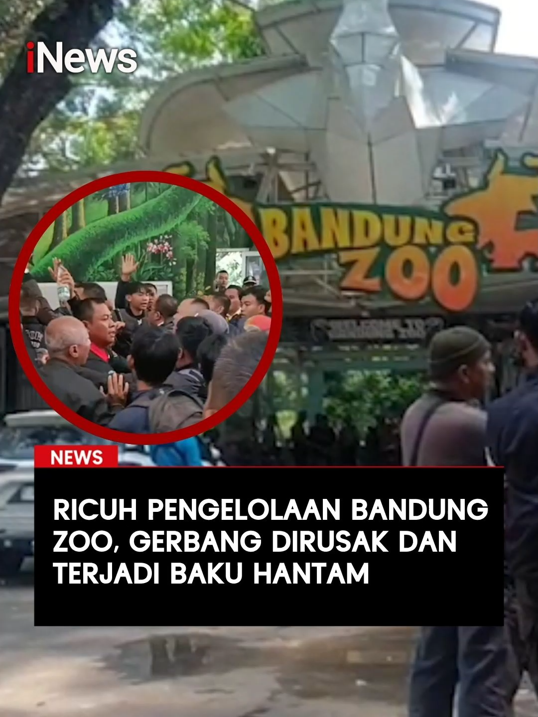 Penutupan sementara Kebun Binatang Bandung oleh manajemen baru, Taman Safari Indonesia, berujung ricuh. Sekelompok orang dari manajemen lama, Yayasan Margasatwa Tamansari, mendobrak pintu utama hingga rusak parah. Situasi memanas hingga terjadi baku hantam. Kedua pihak kini sepakat menempuh jalur mediasi. Baca selengkapnya di sini:  https://bandungraya.inews.id/read/625749/kebun-binatang-bandung-tutup-sementara-karena-konflik-pengunjung-gigit-jari #BandungZoo #Ricuh #ViralBandung #KebunBinatang #Pengelola #Panas