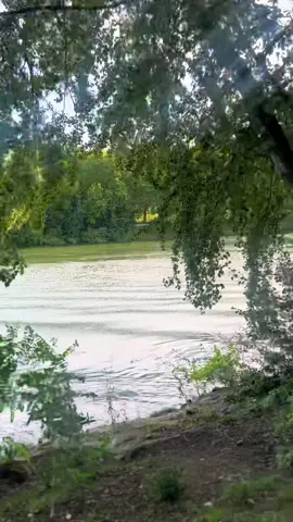 #😍🥰🥰🥰♥️♥️♥️♥️♥️♥️♥️♥️ #🍒🫐#🛥️ #🌊 #🇫🇷🇲🇦🇧🇪🇪🇸 #typppppppppppppppppppシ #❤️‍🔥🥺❤️‍🔥🦋 #viraltiktok #😍😍 #الشعب_الصيني_ماله_حل😂😂 