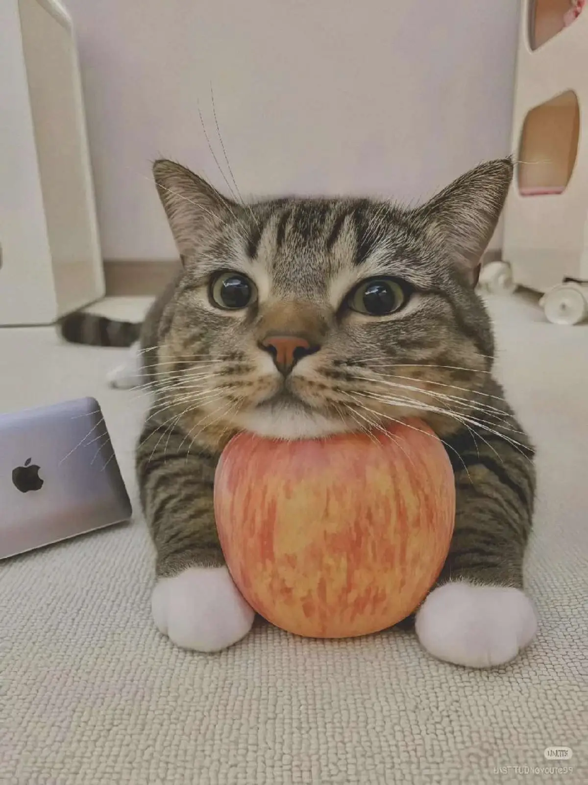 #anime #waifu #arte #fyp 