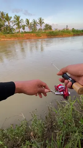 Edisi nyore #viral #fy #viandfishingstore #fyp #joranfiber #microfishing 