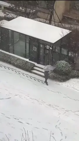 the perfect footprint 😅😅   #funny #funnyvideos #viral #snow #habeshatiktok 