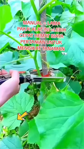 REAIM Alat Pengikat Tanaman tape tool hand alat pertanian mengikat tanaman ke ajir  #alatpertanian #tapetool #pengikat 