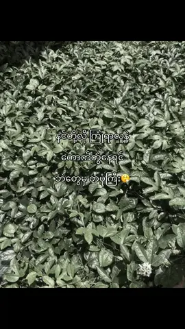 #fypシ゚viral🖤tiktok 