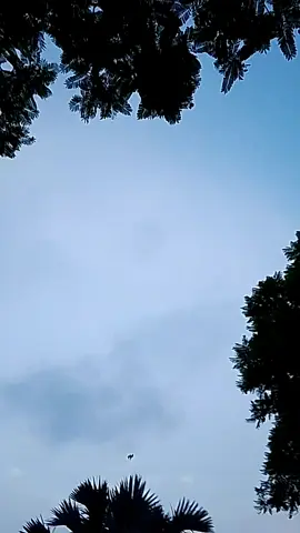 #insan ki Kya Oqaat🤌🏻#aaj hay 🙏🏻🌹kal nhi 🥀🖤🖤🖤